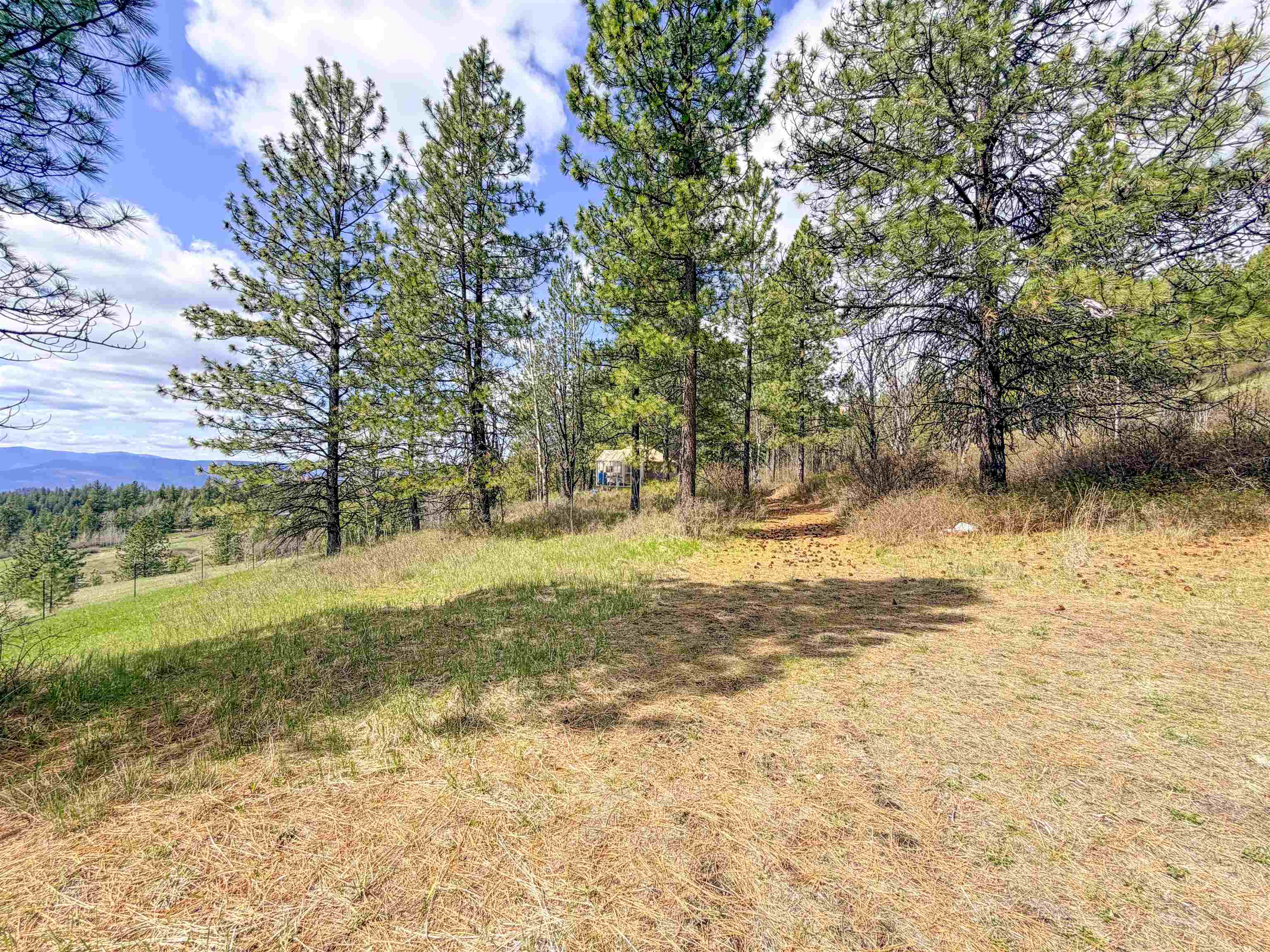 829 Dominion Springs Way - Photo 26
