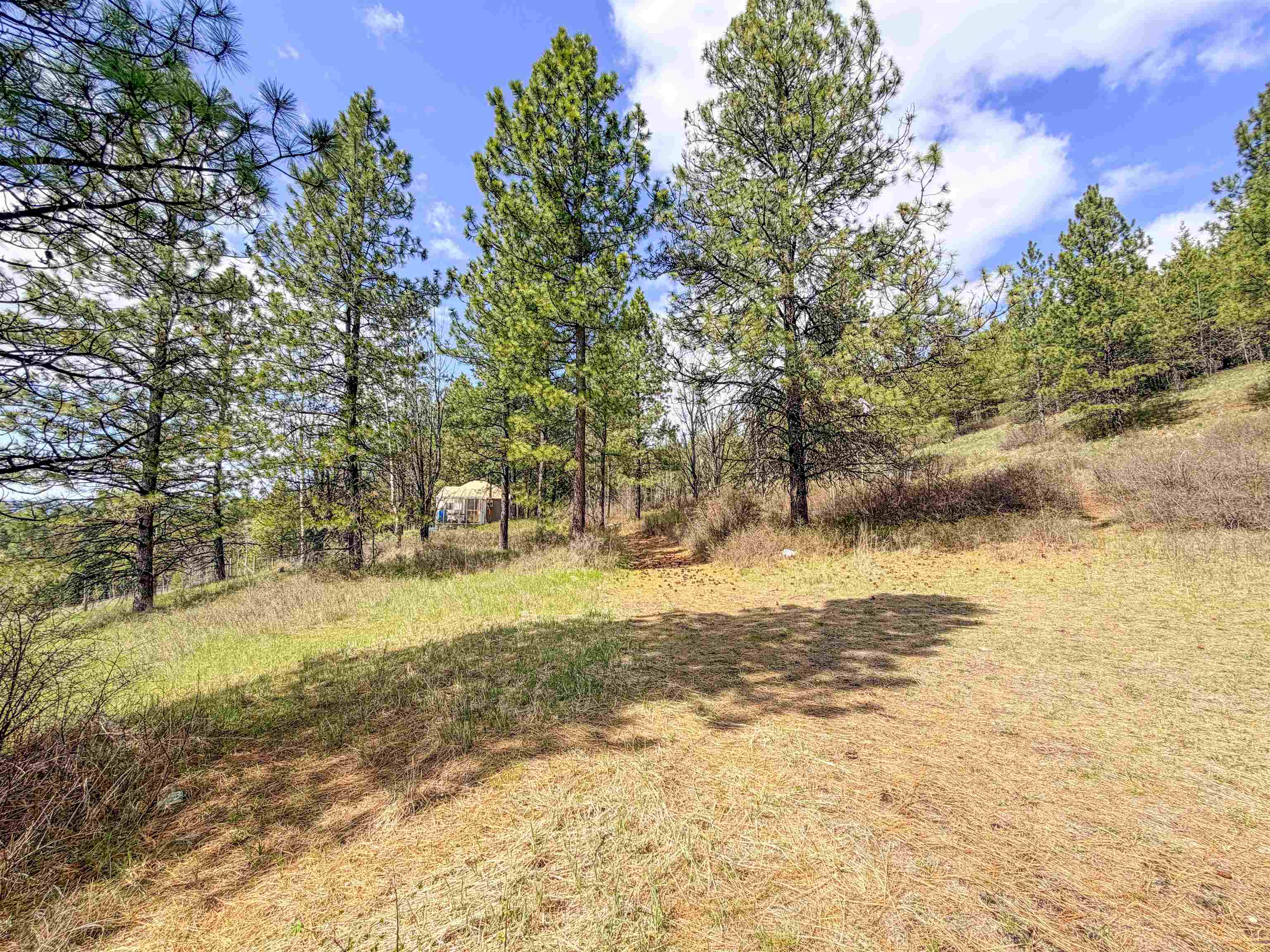 829 Dominion Springs Way - Photo 27