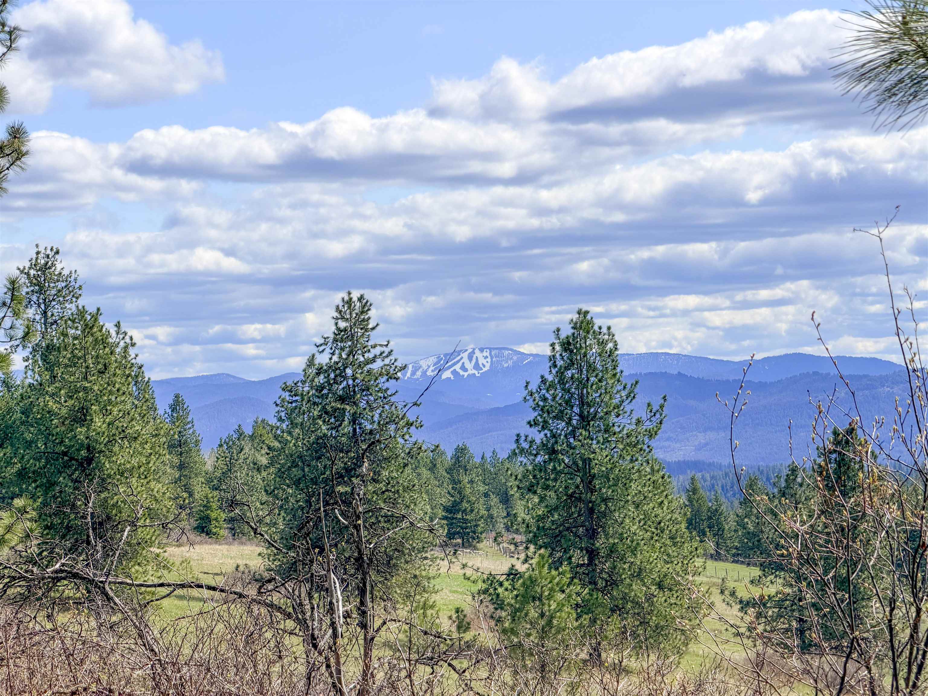 829 Dominion Springs Way - Photo 28