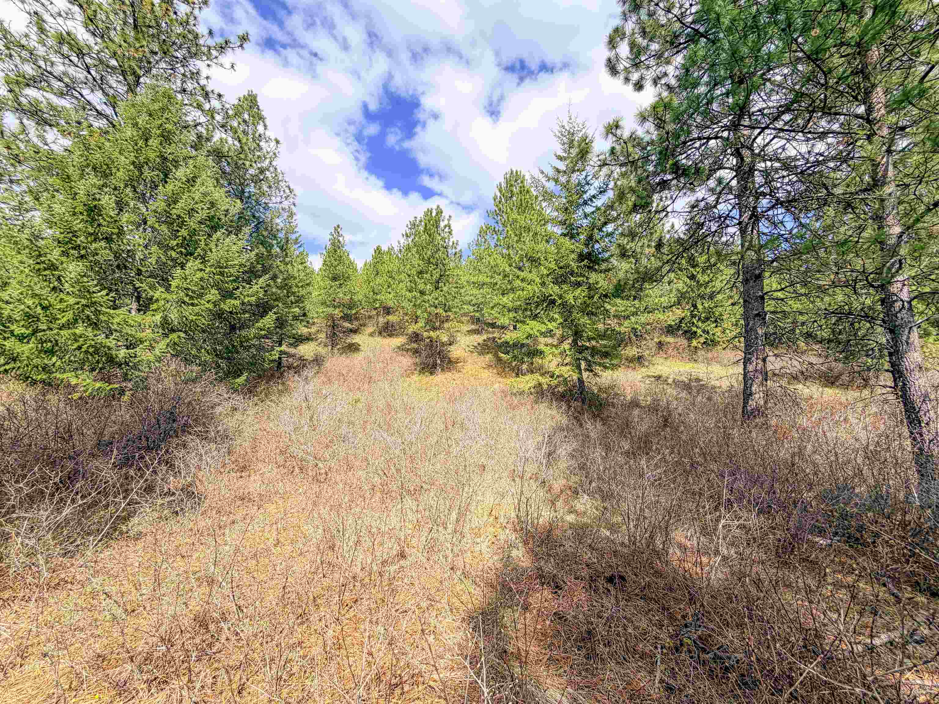 829 Dominion Springs Way - Photo 30