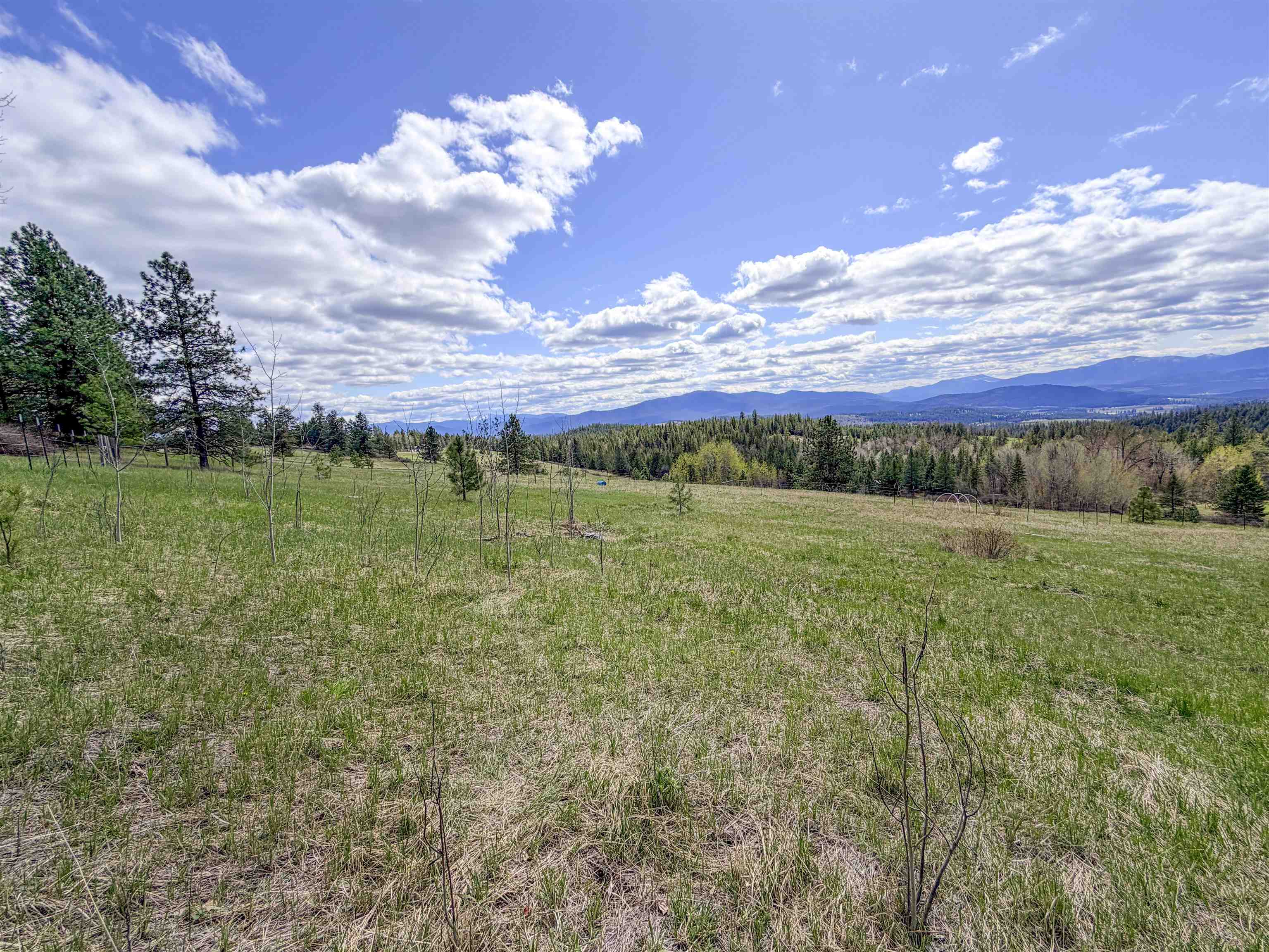 829 Dominion Springs Way - Photo 4