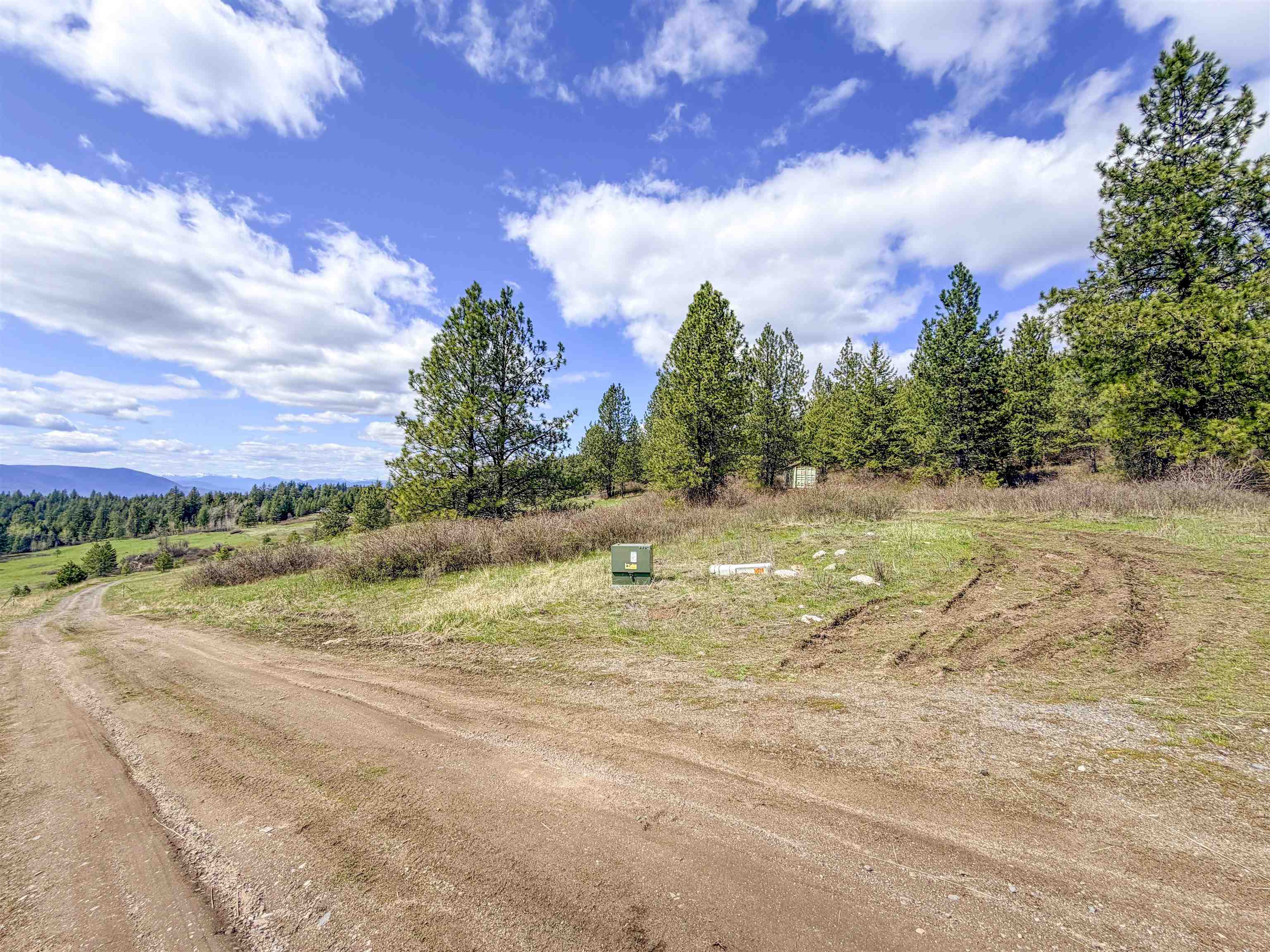 829 Dominion Springs Way - Photo 31