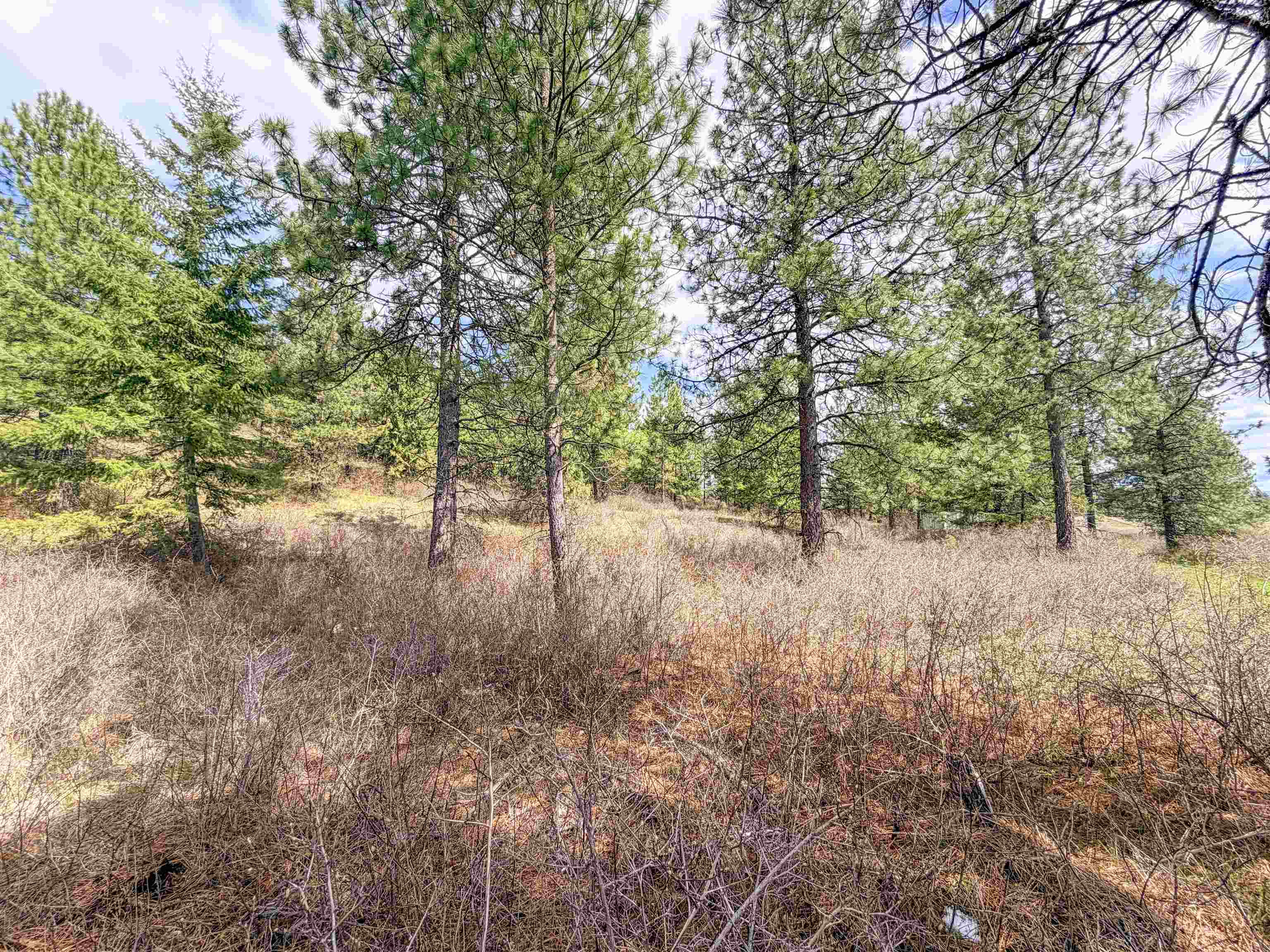 829 Dominion Springs Way - Photo 32