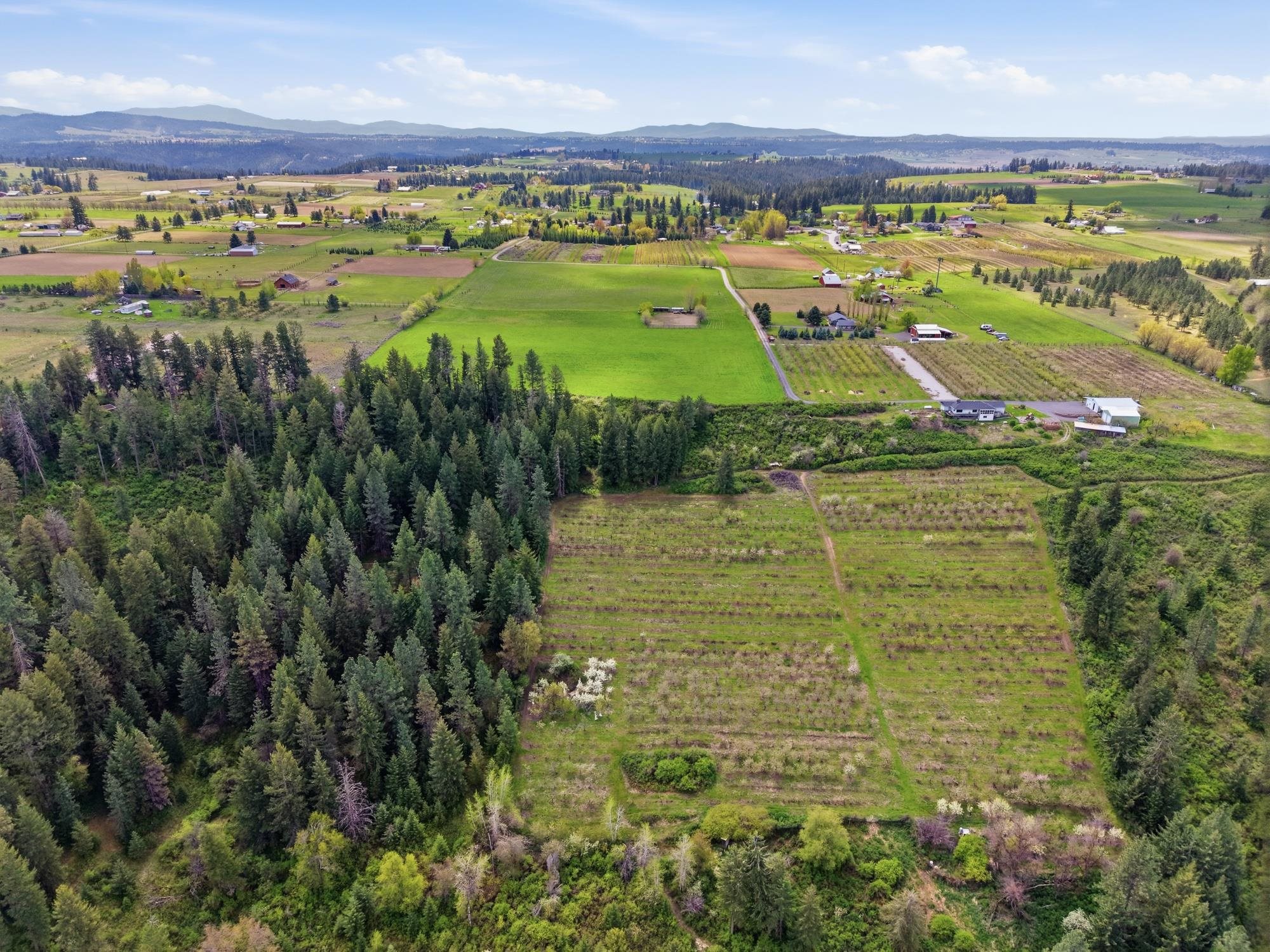 XXXX E Woolard Rd - Photo 1