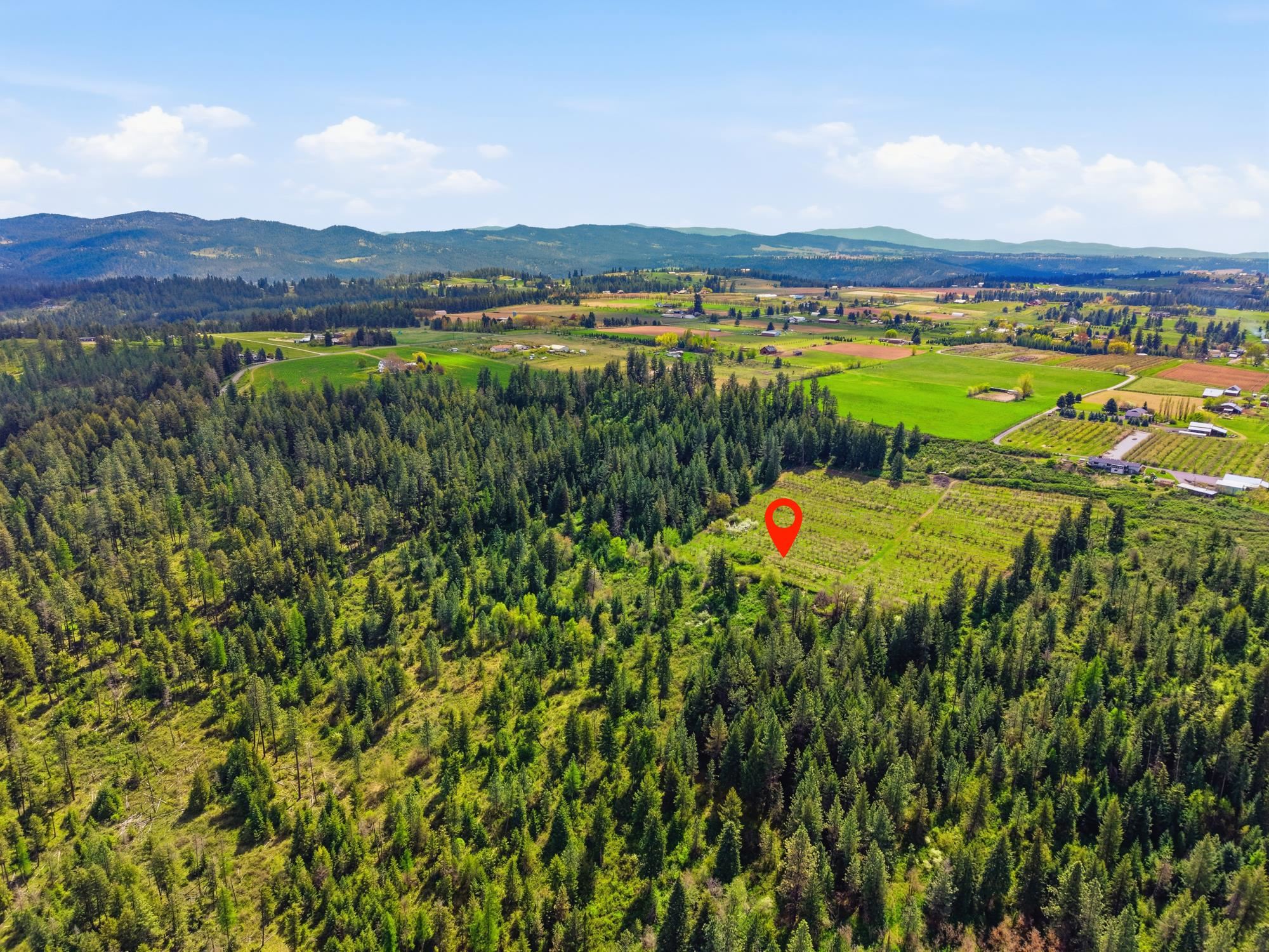 XXXX E Woolard Rd - Photo 15