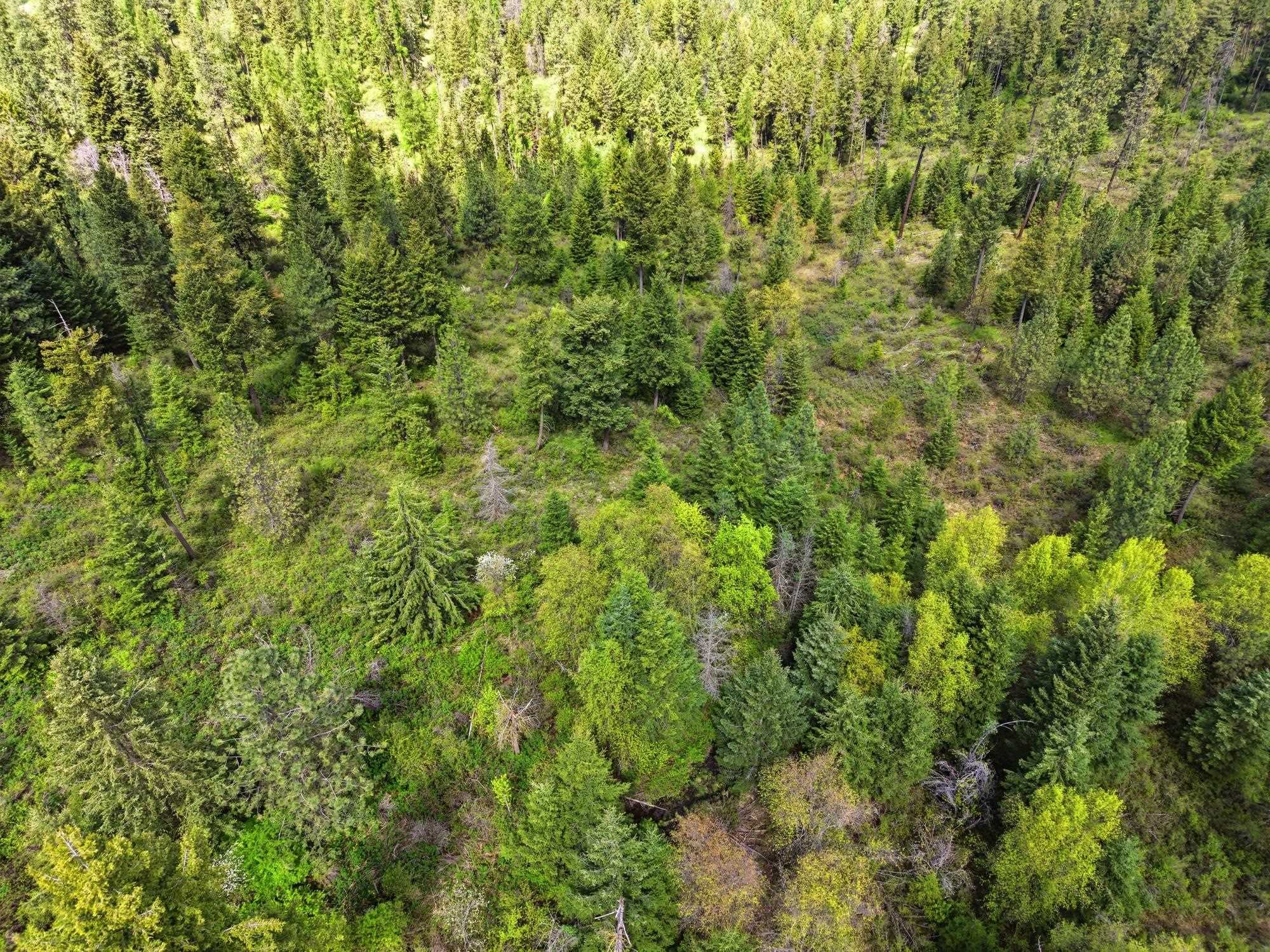 XXXX E Woolard Rd - Photo 3