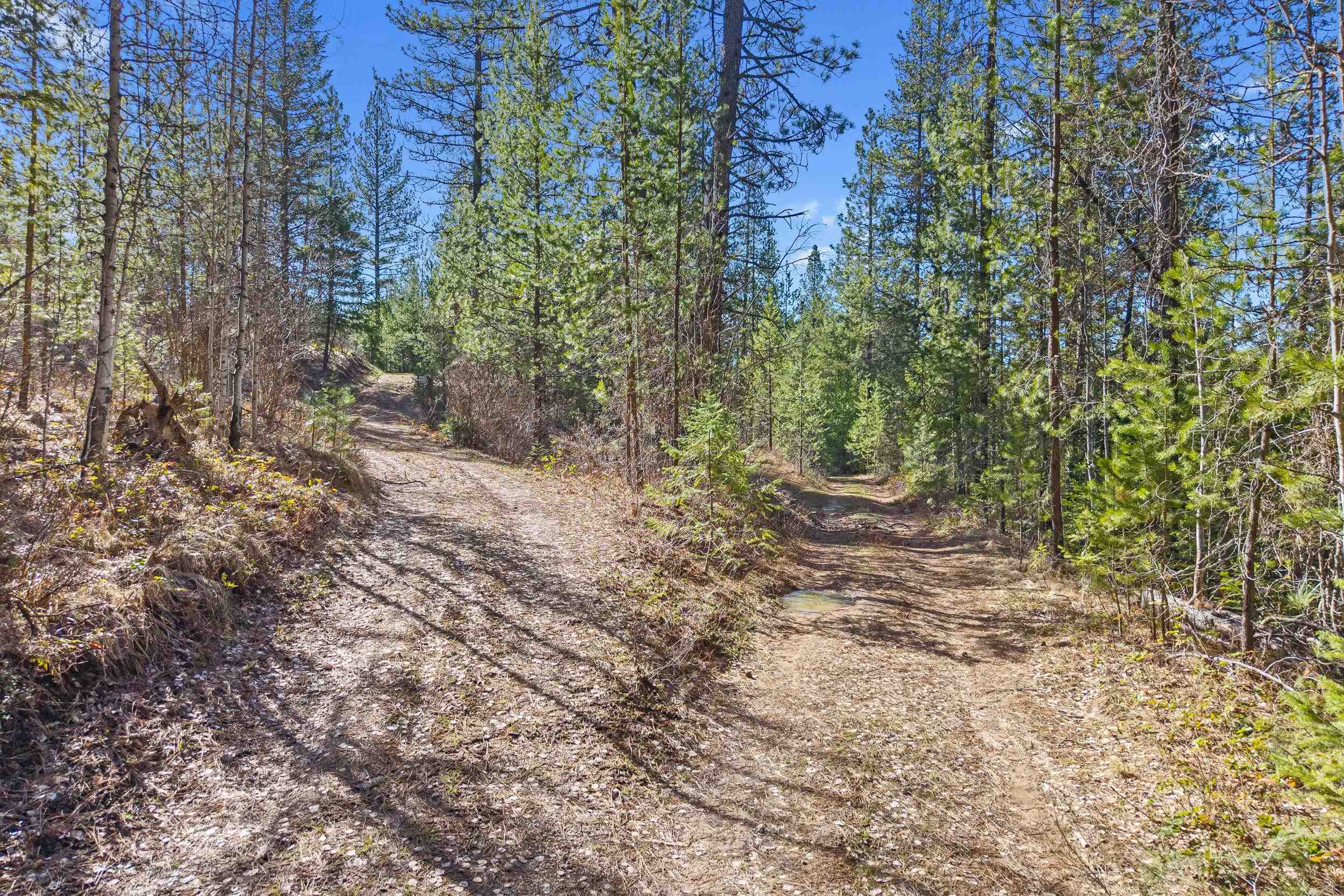 5324 Olinger Rd - Photo 18