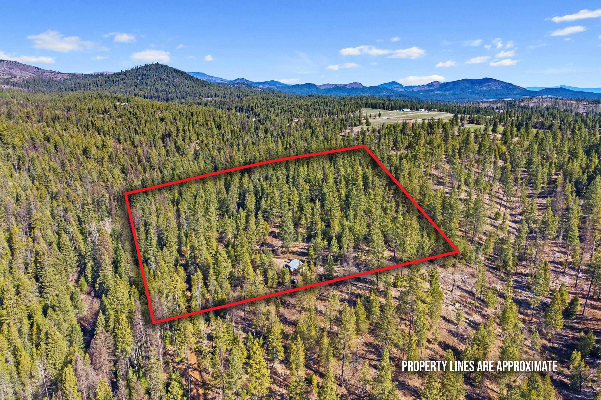5324 Olinger Rd - Photo 4