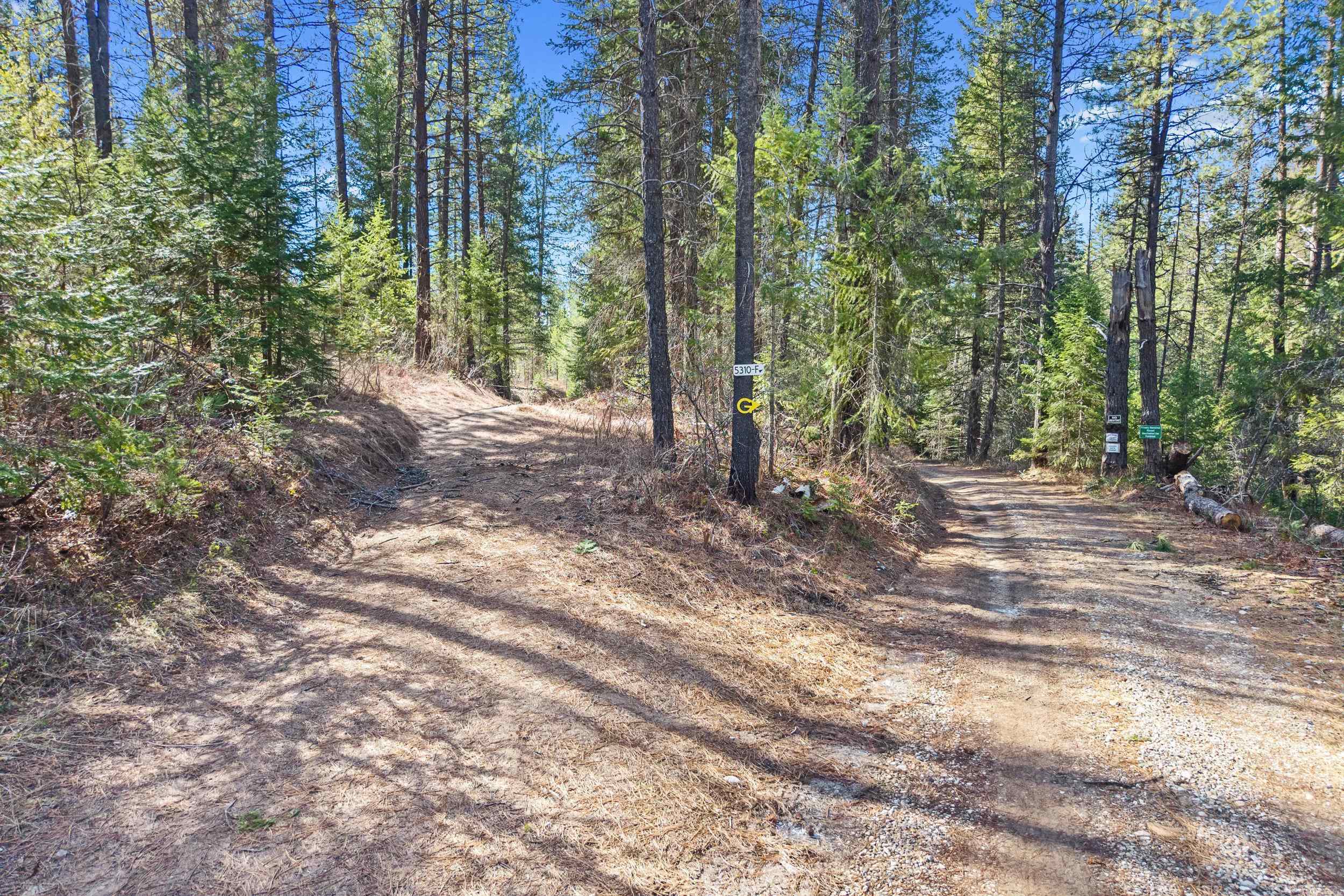 5324 Olinger Rd - Photo 32