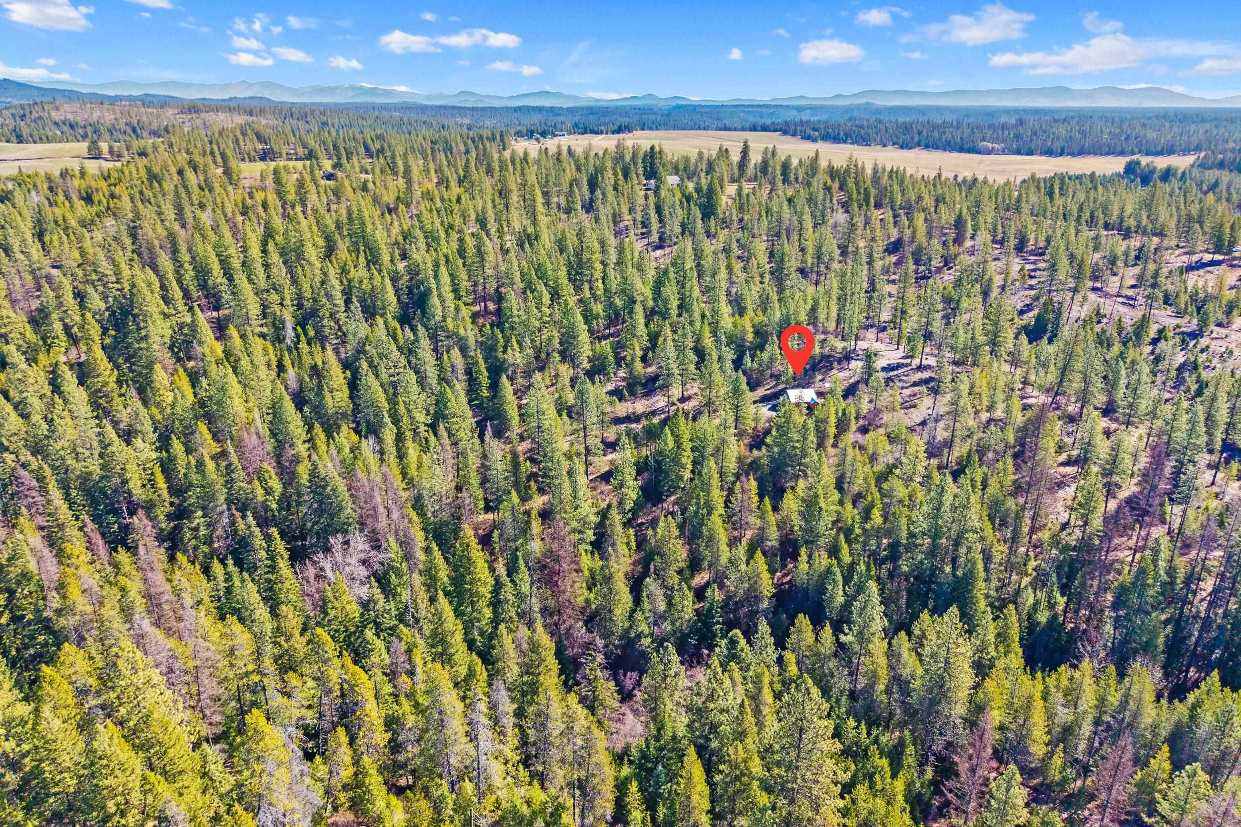 5324 Olinger Rd - Photo 33