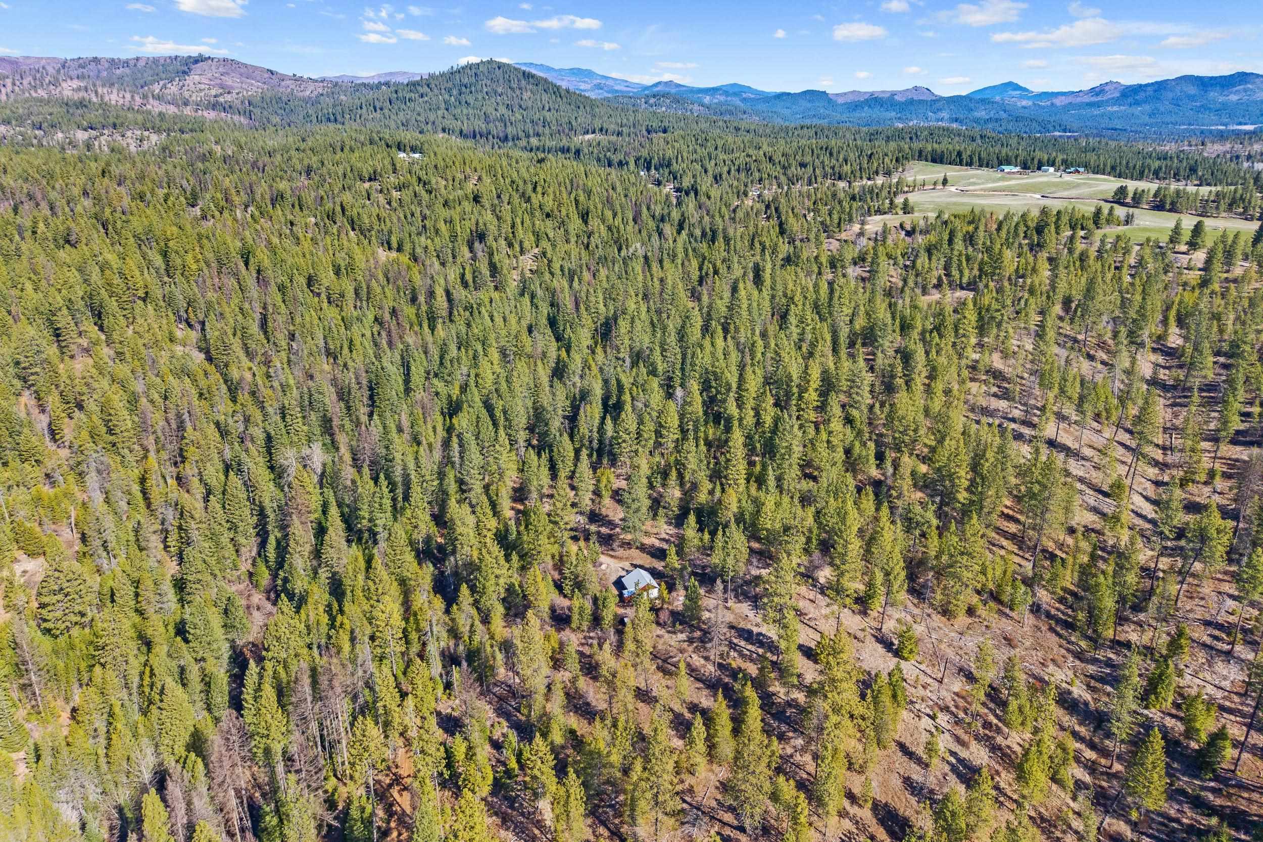 5324 Olinger Rd - Photo 35