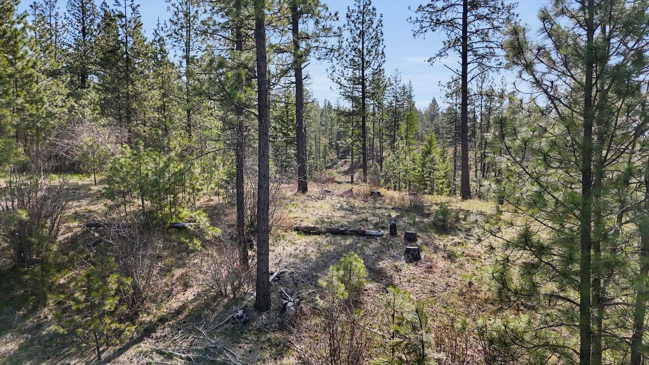 5324 Olinger Rd - Photo 37
