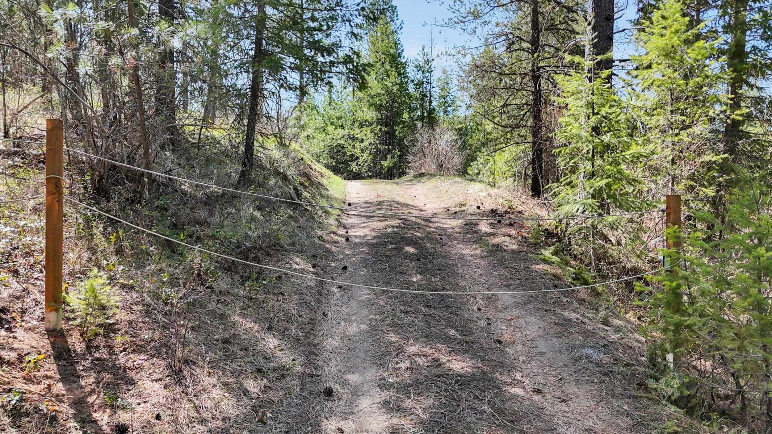 5324 Olinger Rd - Photo 38