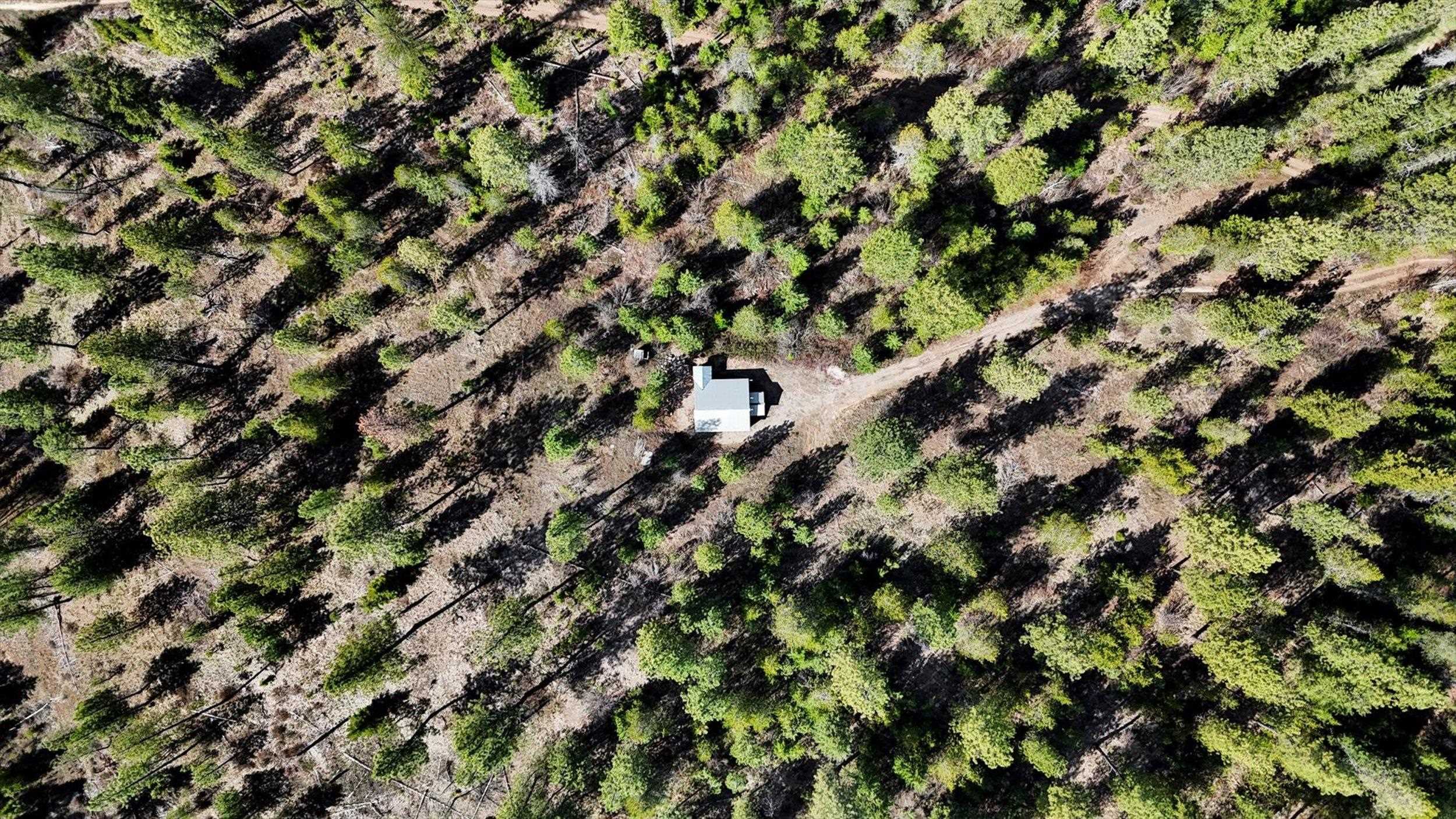 5324 Olinger Rd - Photo 39