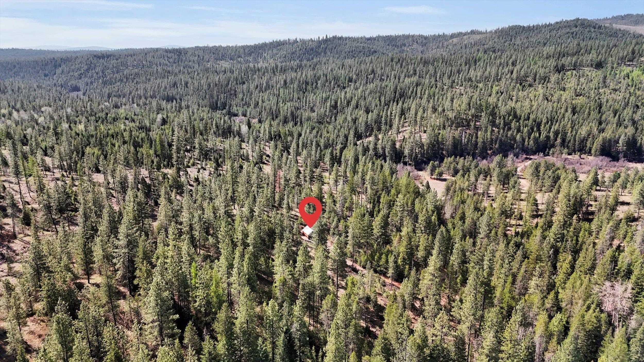 5324 Olinger Rd - Photo 43