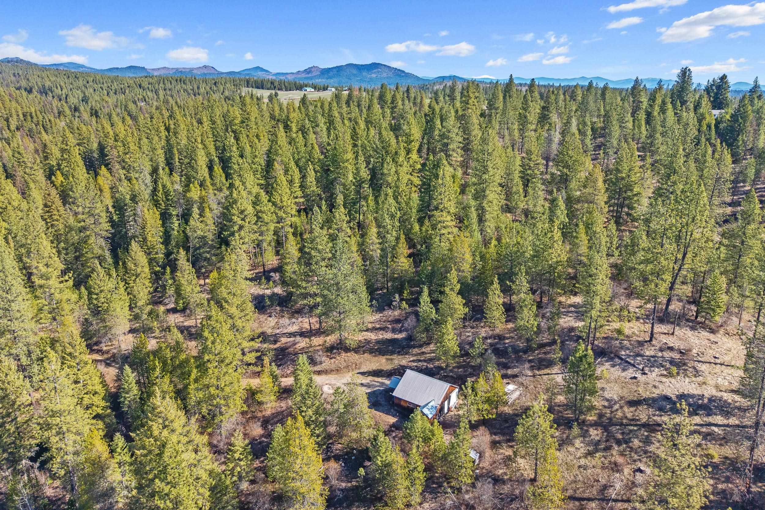 5324 Olinger Rd - Photo 6