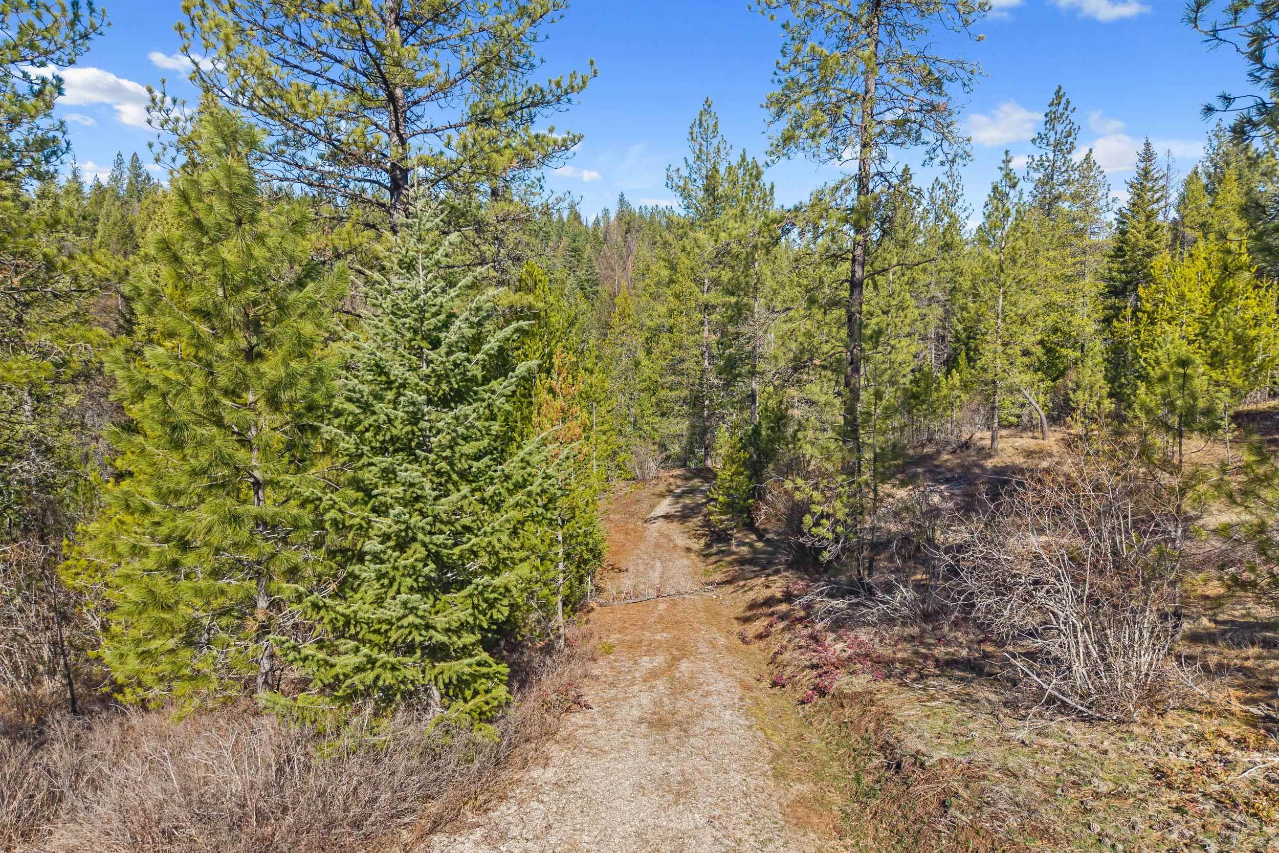 5324 Olinger Rd - Photo 9