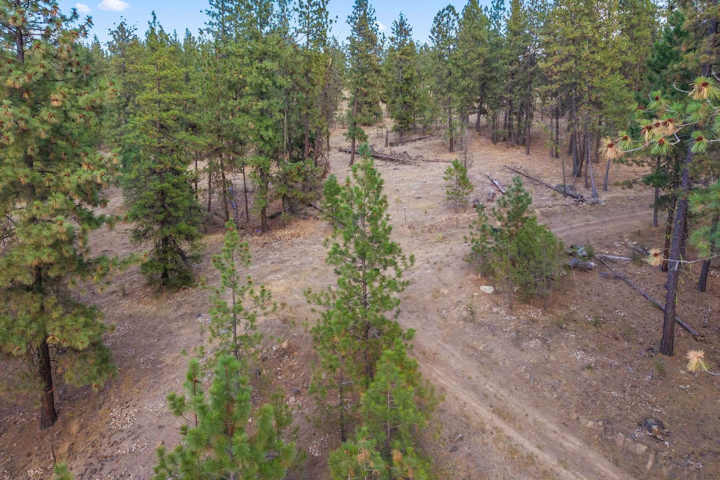 6526 Summerlin Way - Photo 11