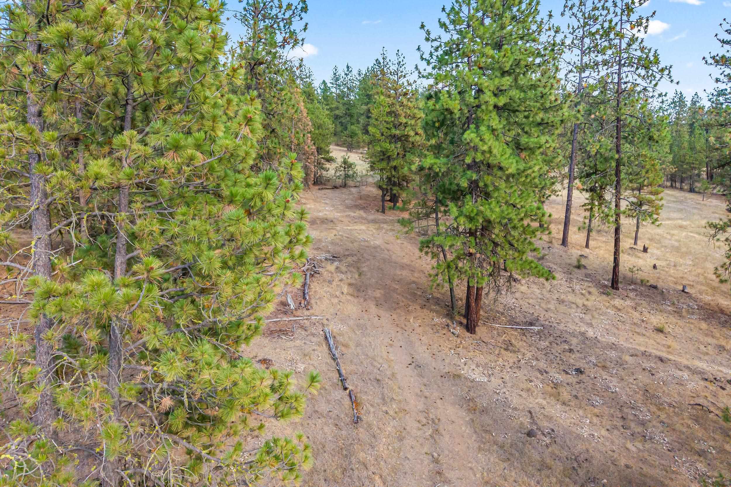 6526 Summerlin Way - Photo 12