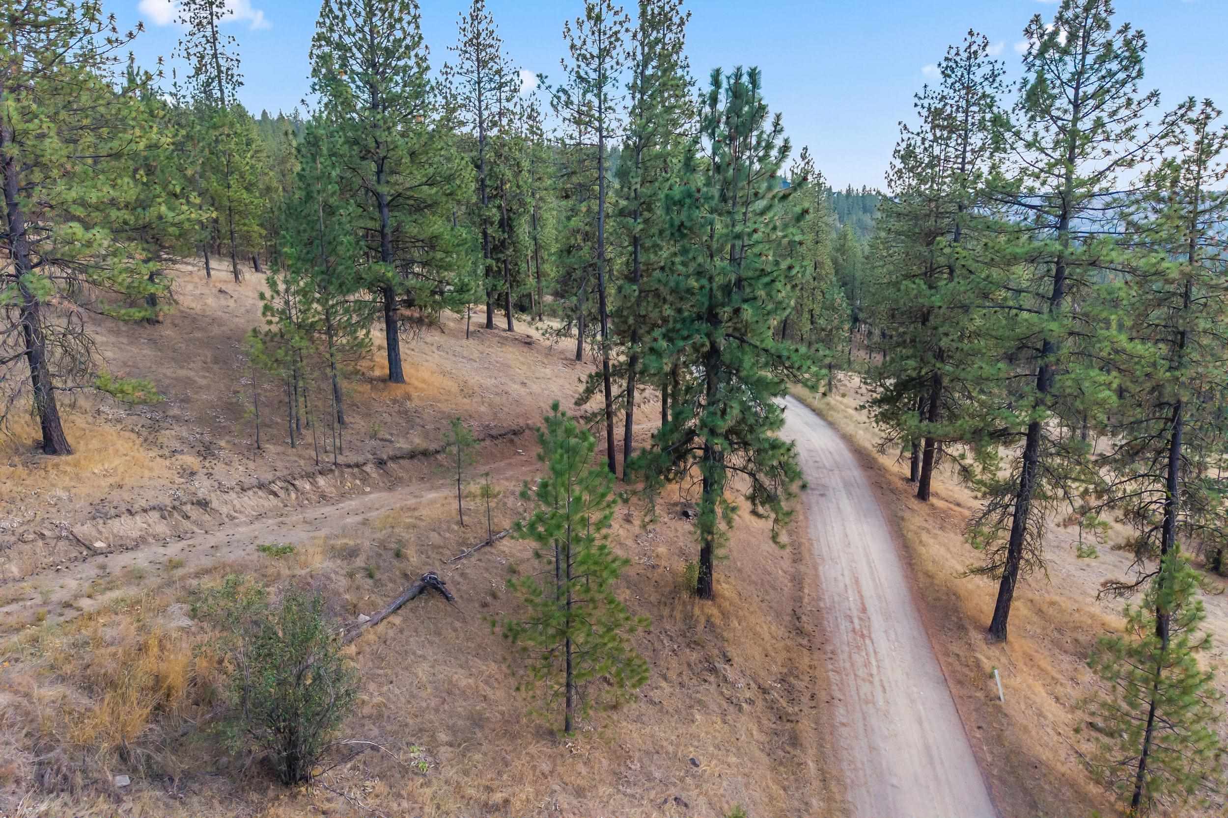 6526 Summerlin Way - Photo 16