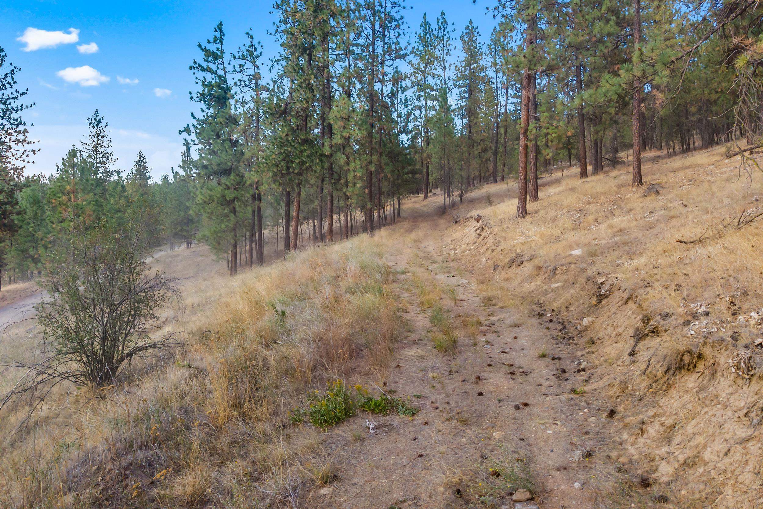 6526 Summerlin Way - Photo 20
