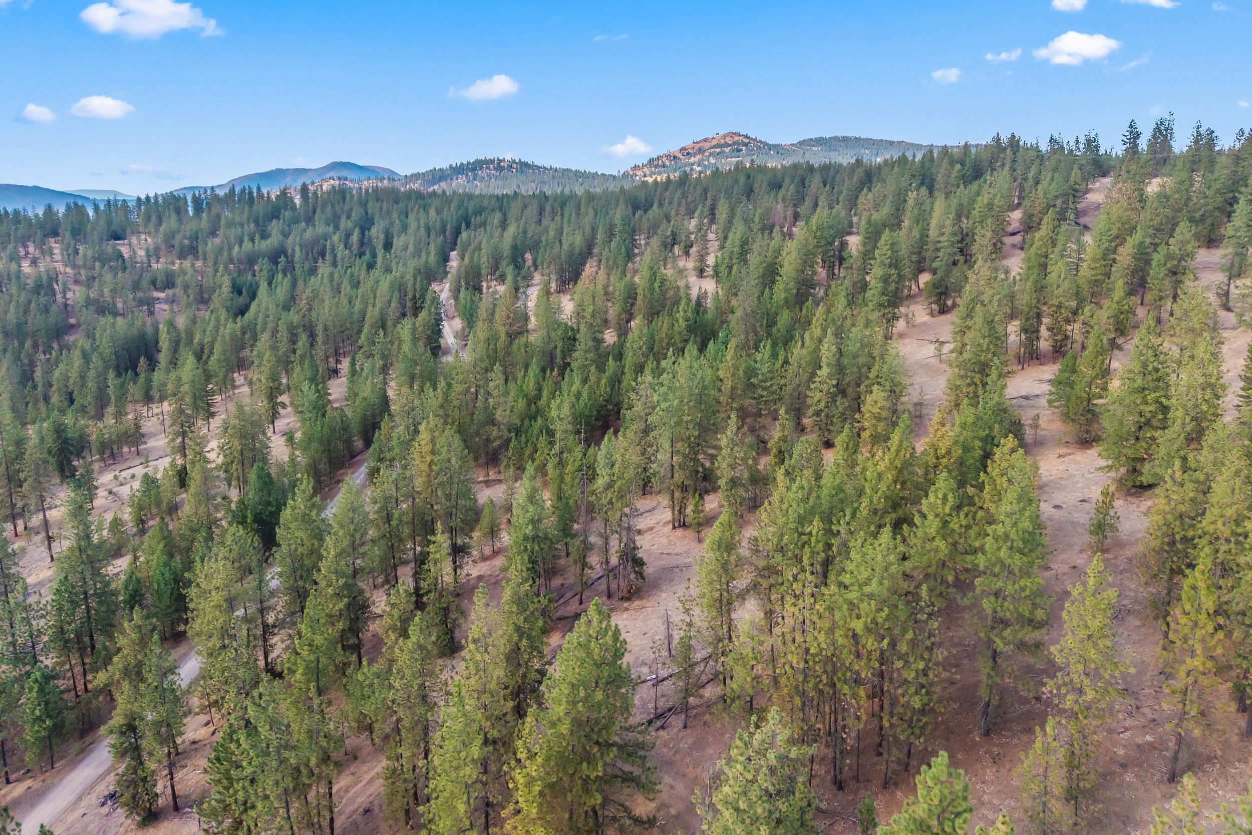 6526 Summerlin Way - Photo 21