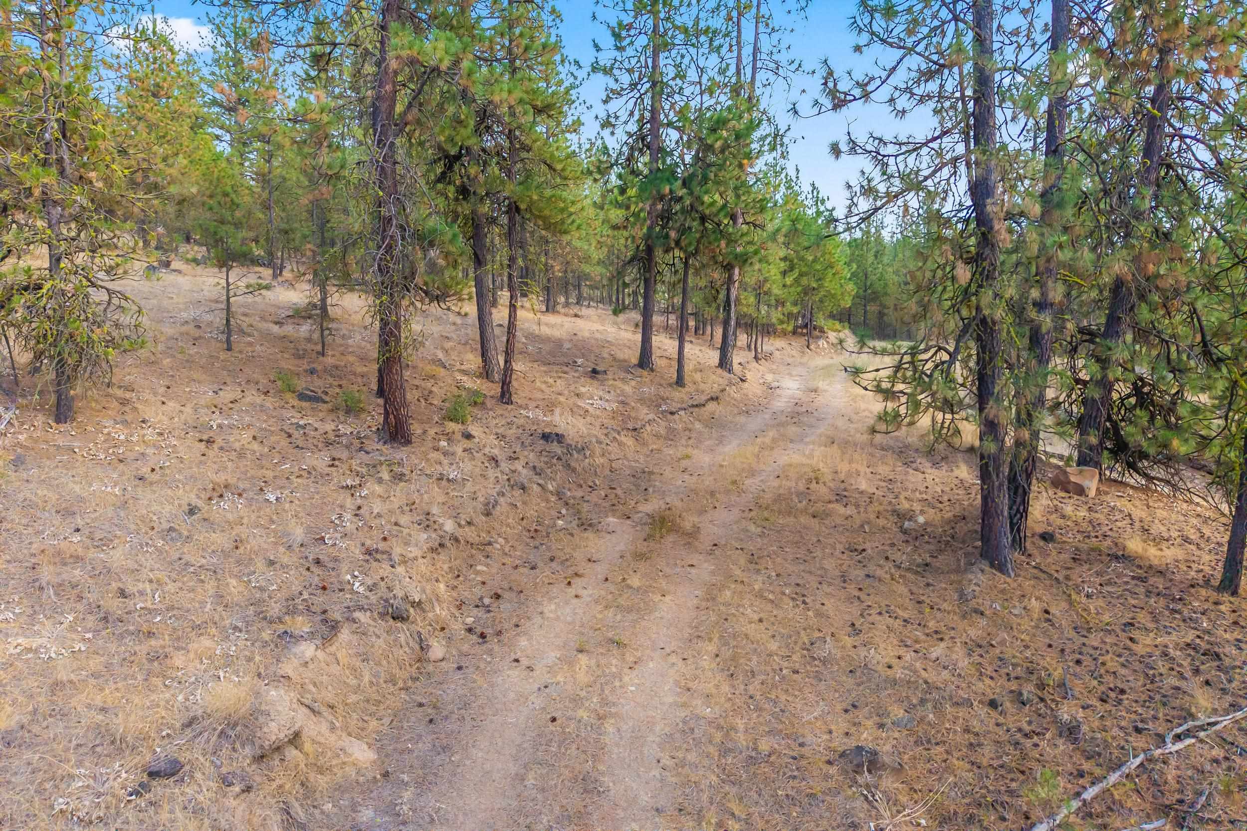 6526 Summerlin Way - Photo 8