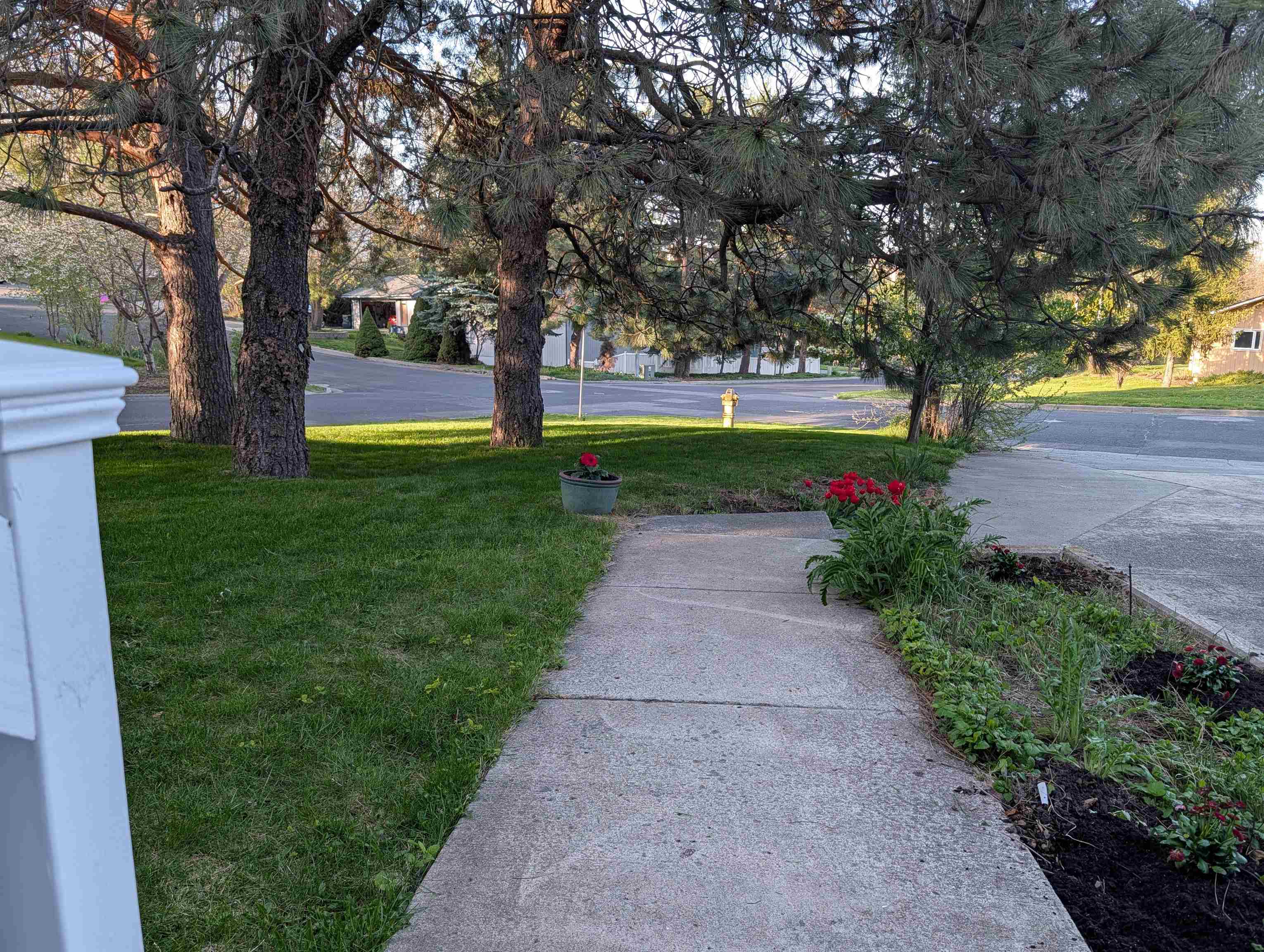 795 SE Greenhill Rd - Photo 3