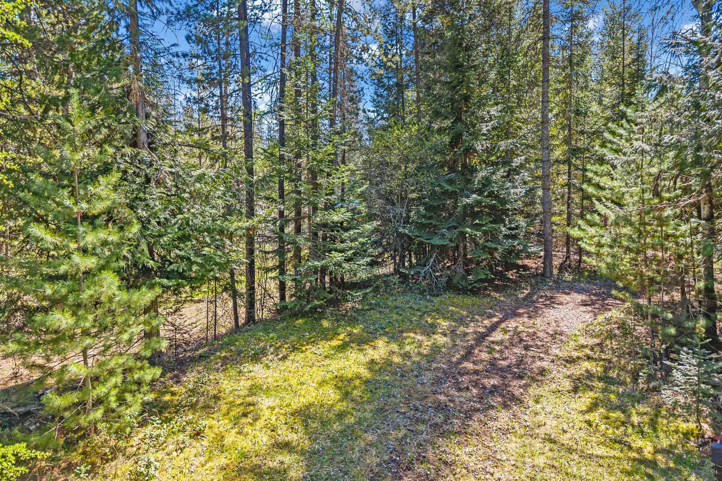 305 Bockman Rd - Photo 45