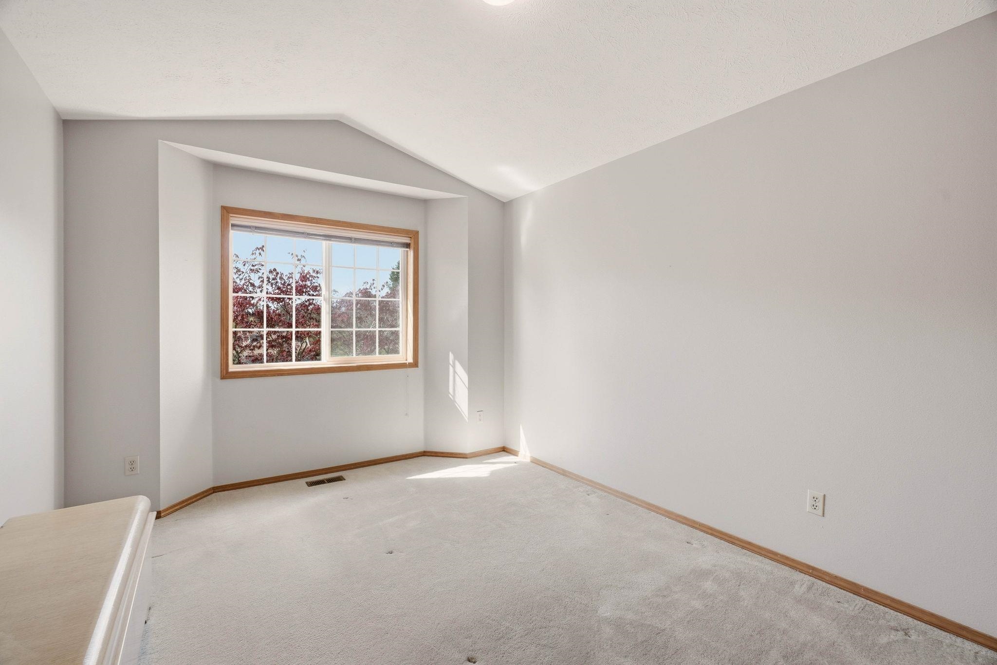 3319 E 65th Ave - Photo 19