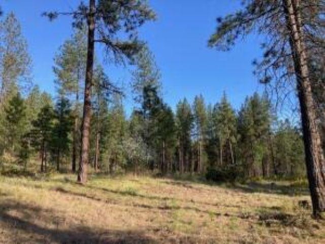 1172 FUMI Cir - Photo 2