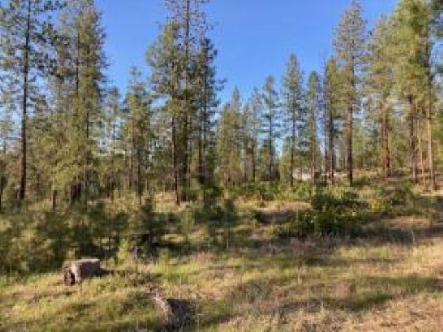 1172 FUMI Cir - Photo 14