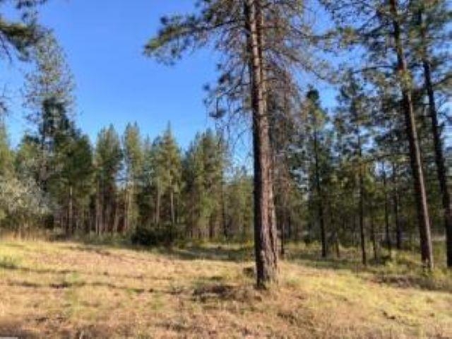 1172 FUMI Cir - Photo 3