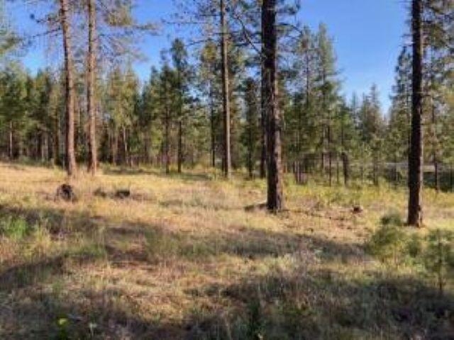 1172 FUMI Cir - Photo 8