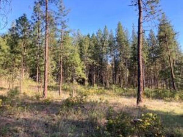 1172 FUMI Cir - Photo 9