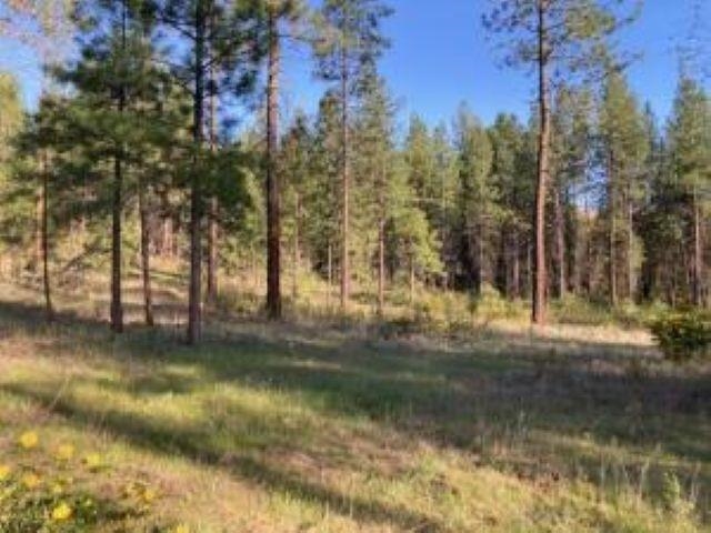 1172 FUMI Cir - Photo 10
