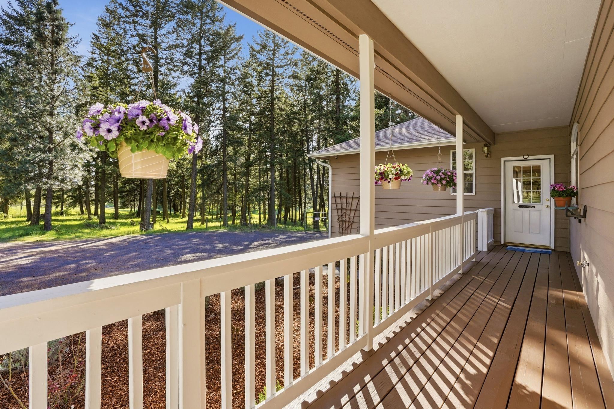 32223 N Whitetail Ln - Photo 4