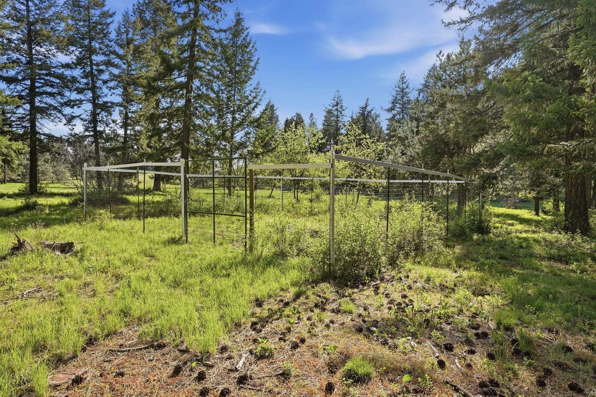 32223 N Whitetail Ln - Photo 41