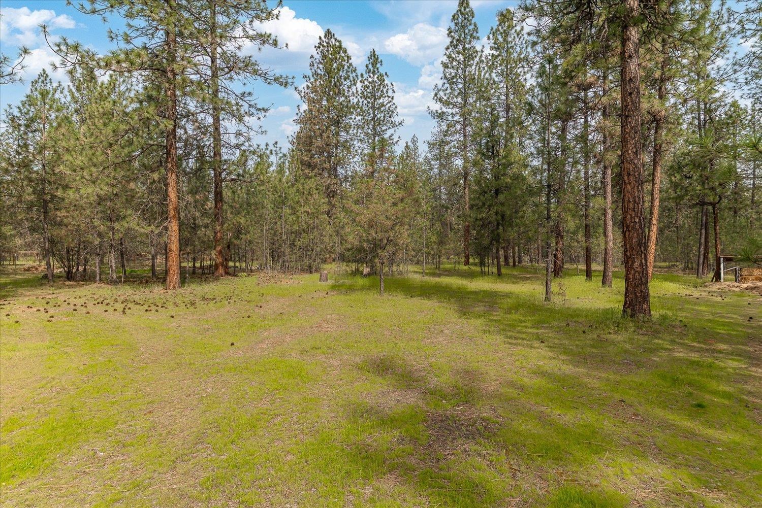 6480 Stonelodge Rd - Photo 37