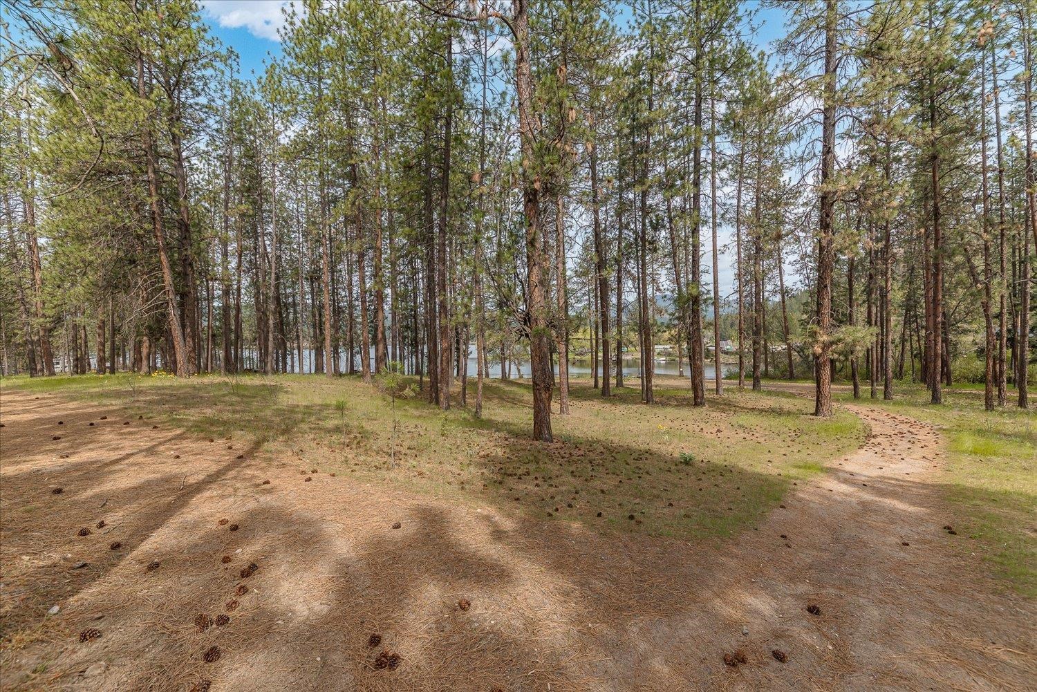 6480 Stonelodge Rd - Photo 42