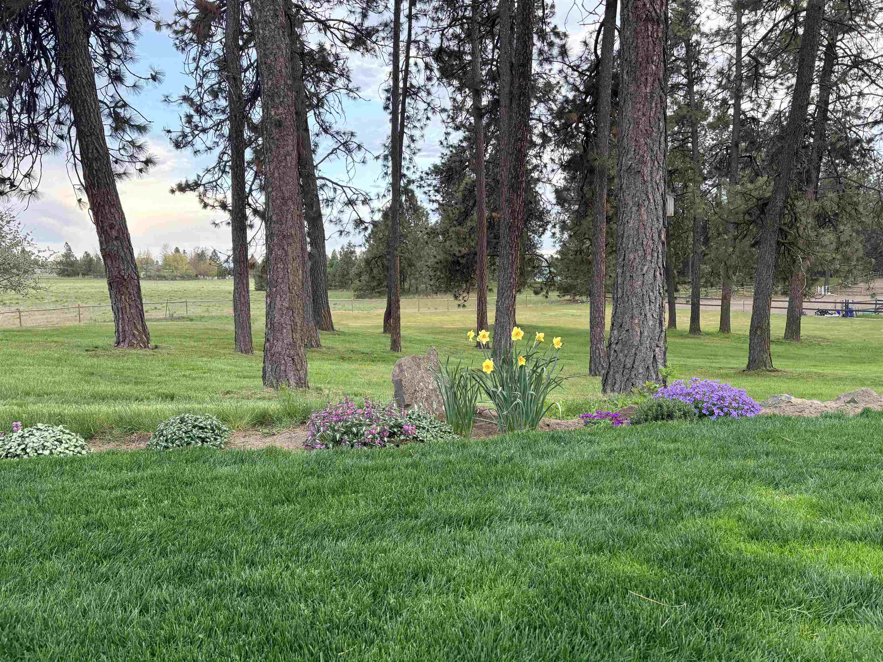 817 W White Rd - Photo 30
