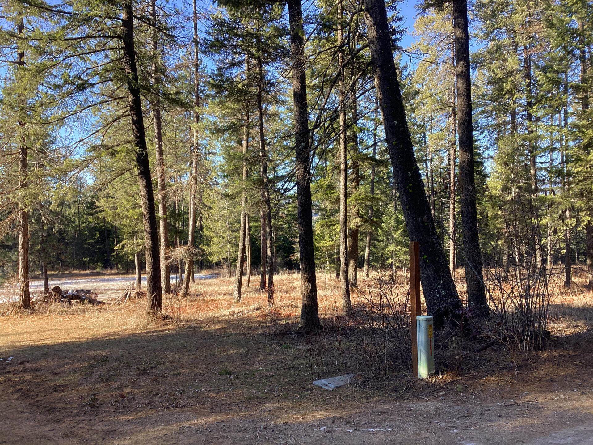 2559 United Copper Mine Rd - Photo 11
