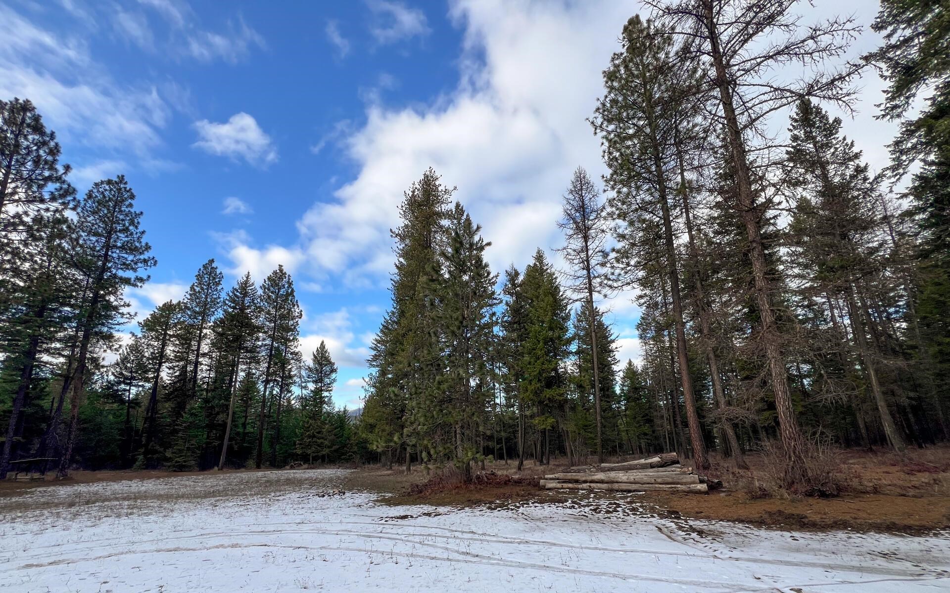 2559 United Copper Mine Rd - Photo 19