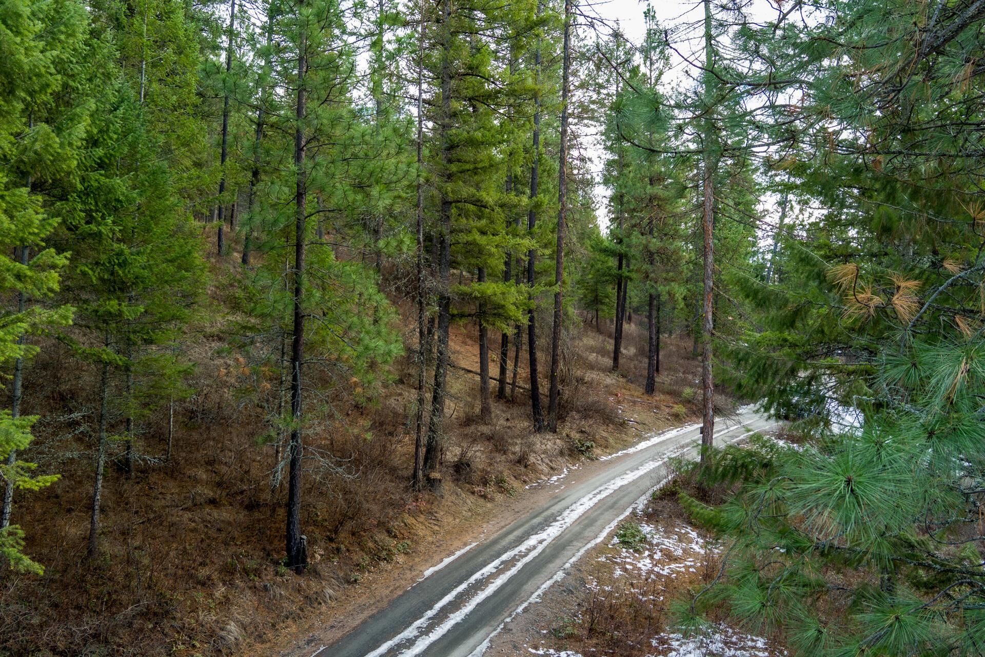 2559 United Copper Mine Rd - Photo 20