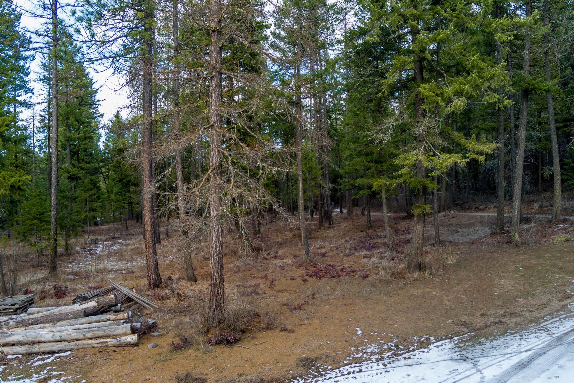 2559 United Copper Mine Rd - Photo 22