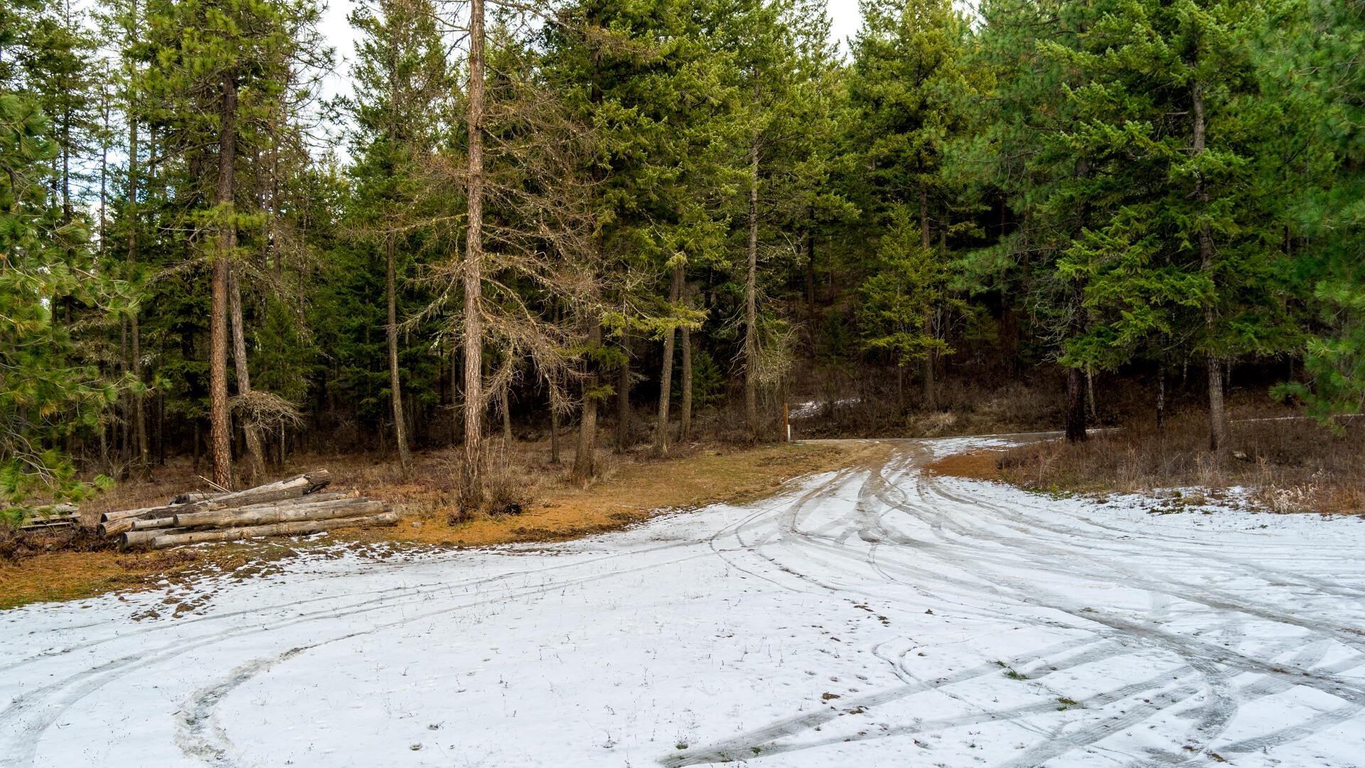 2559 United Copper Mine Rd - Photo 23