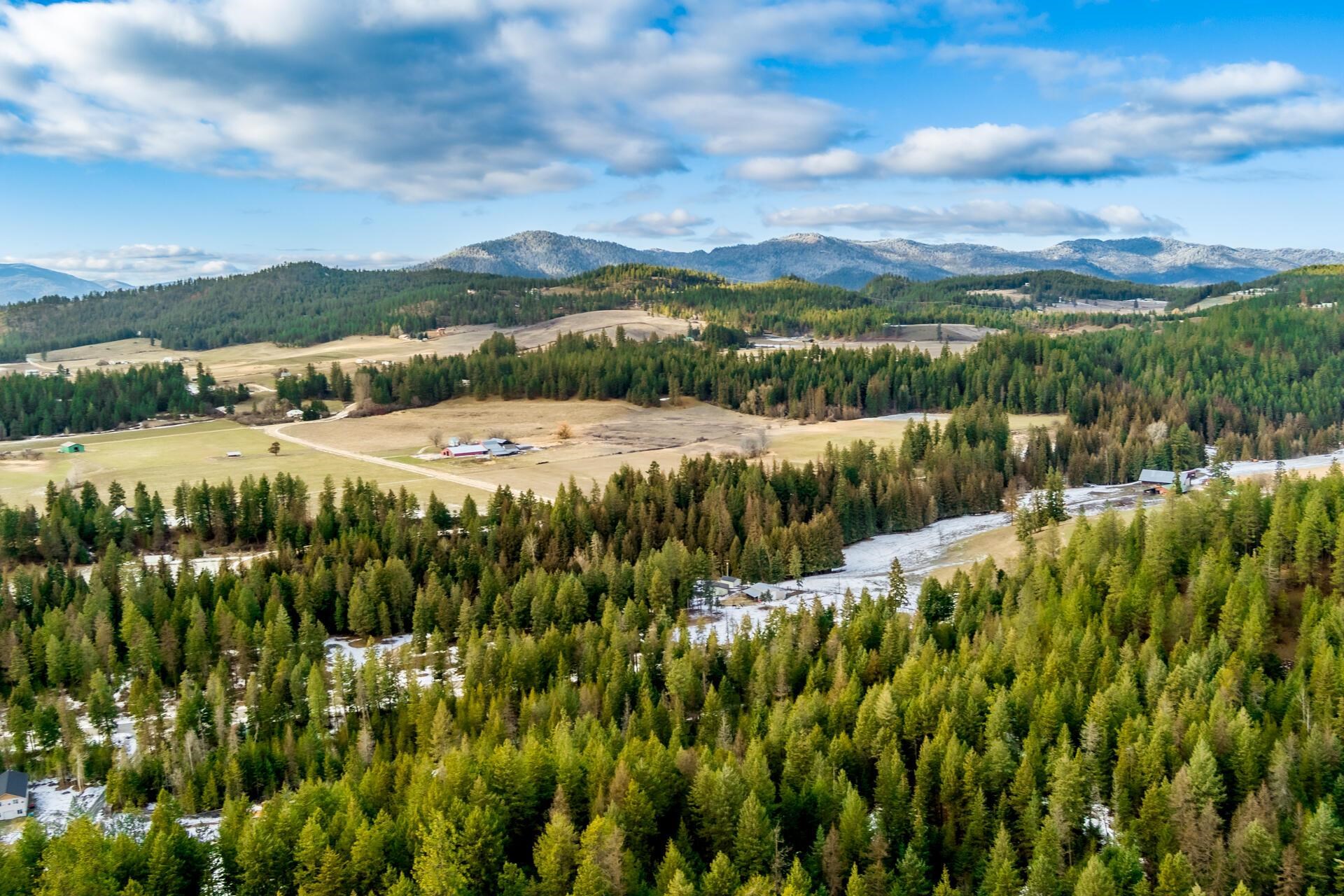 2559 United Copper Mine Rd - Photo 26