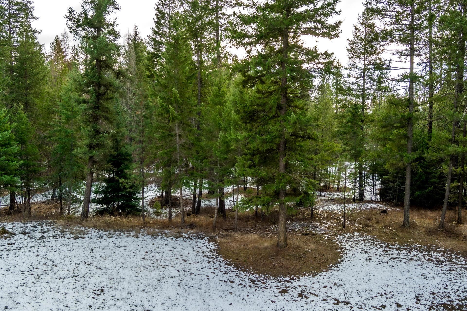 2559 United Copper Mine Rd - Photo 29