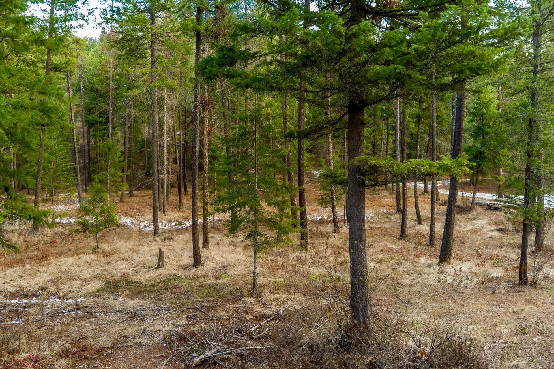 2559 United Copper Mine Rd - Photo 30