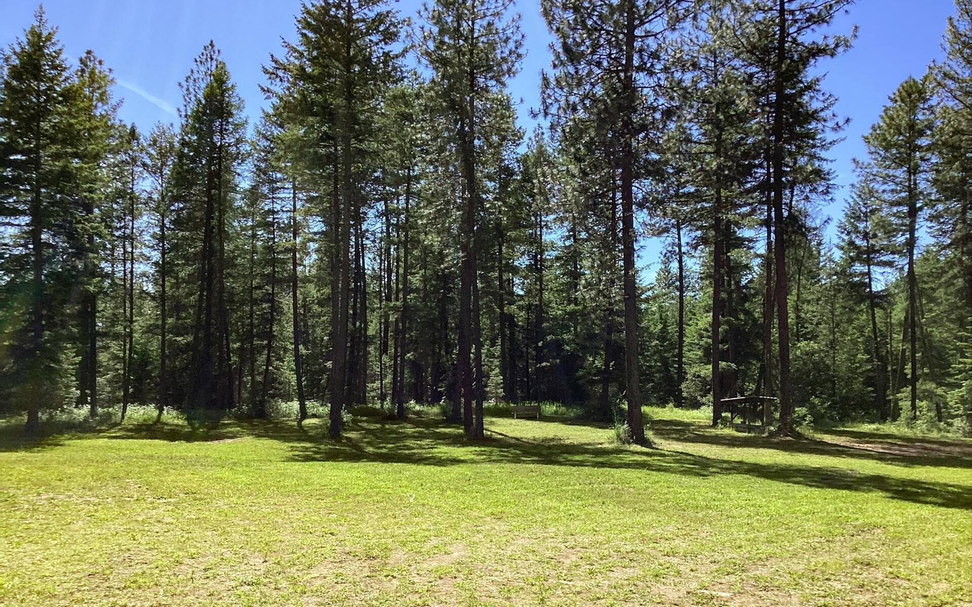 2559 United Copper Mine Rd - Photo 33